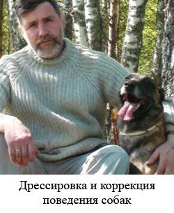 Николай Доведов. Дрессировка и коррекция поведения собак